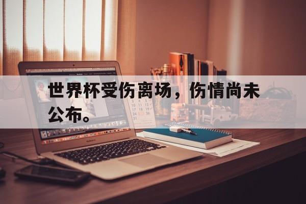 Leyu 体育网站-世界杯受伤离场，伤情尚未公布。
