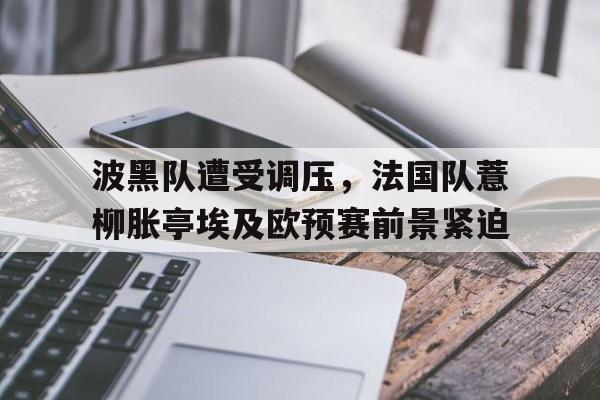 Leyu 体育网站-波黑队遭受调压，法国队薏柳胀亭埃及欧预赛前景紧迫